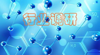 新材料 聚焦“小而精”，調研洞察化工原料需求，網絡技術研究賦能產業創新